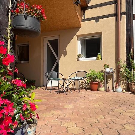 Zewwelatreppler - La Grange Aux Petits Oignons - Chambre Rainette Selestat Luaran gambar
